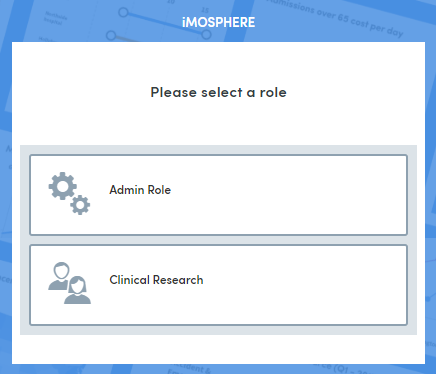 Screenshot of role selection window