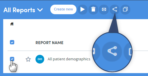 Zoomed in share icon from toolbar for all reports